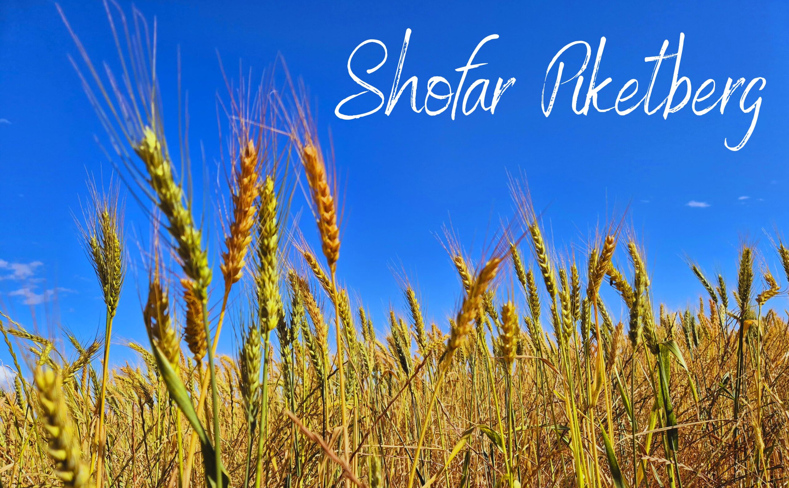 Shofar Piketberg